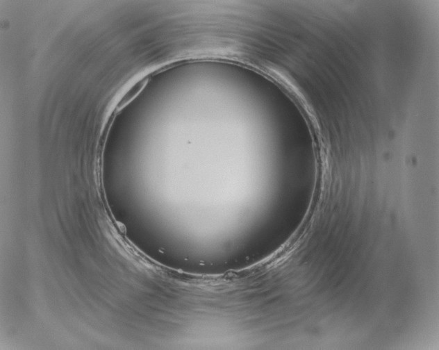 X0000053061340200508011904