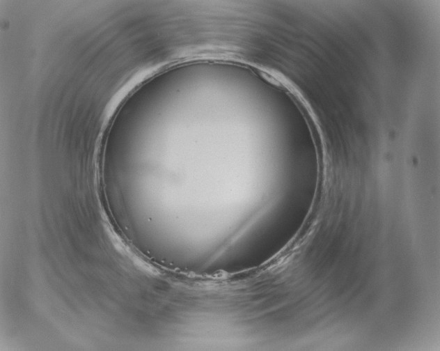 X0000053061341200508011904