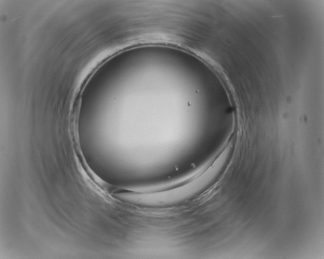 X0000053061342200508011904