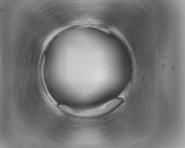 X0000053061344200508011904