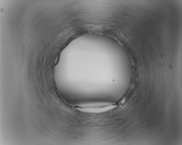 X0000053061345200508011903