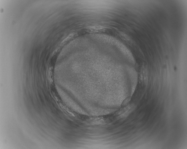 X0000053061346200508011903