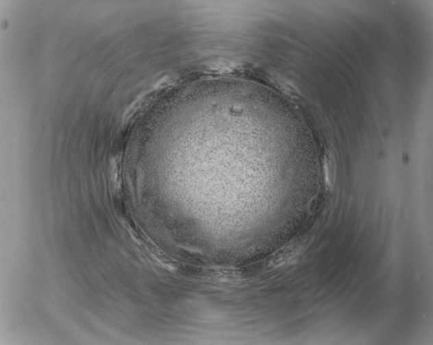 X0000053061347200508011903