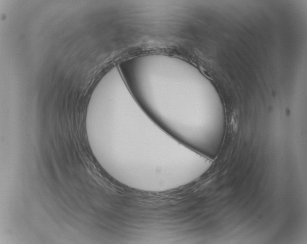 X0000053061348200508011903