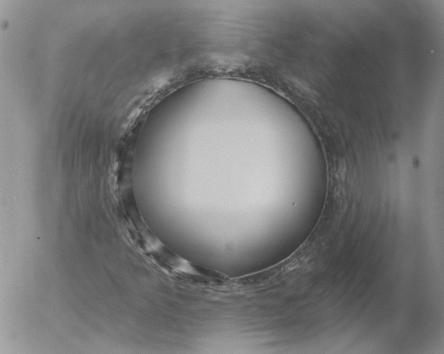 X0000053061349200508011903