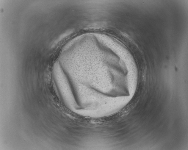 X0000053061350200508011903