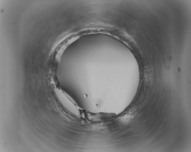 X0000053061352200508011903