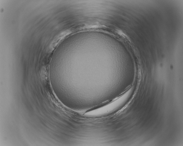 X0000053061353200508011903