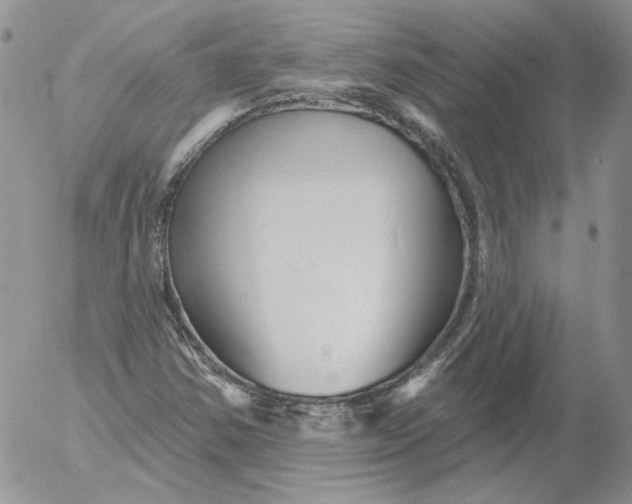 X0000053061354200508011903