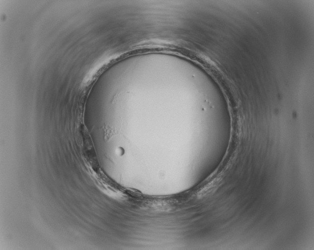 X0000053061355200508011903