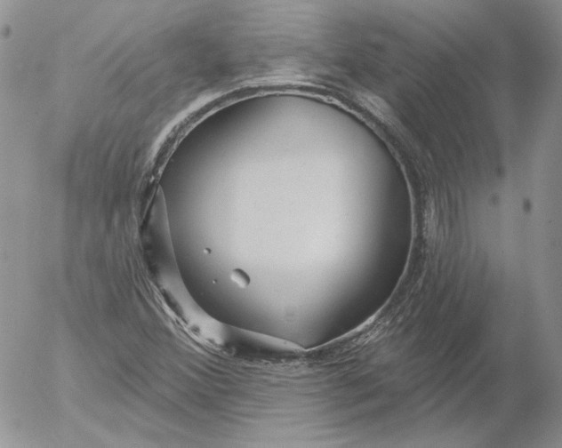 X0000053061356200508011903