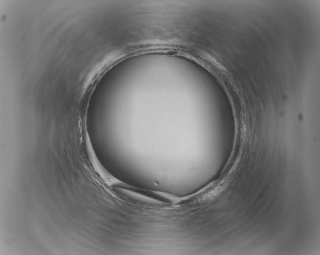 X0000053061357200508011903