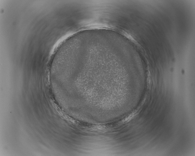 X0000053061358200508011903