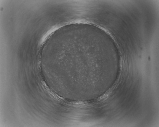 X0000053061359200508011903