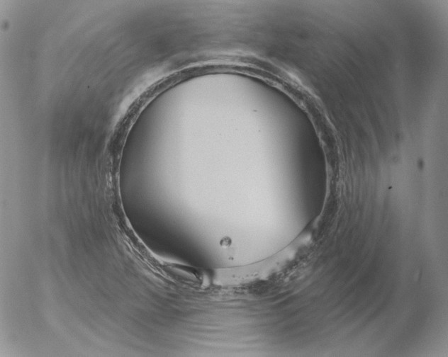 X0000053061360200508011903