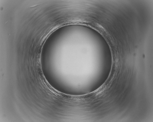 X0000053061361200508011903