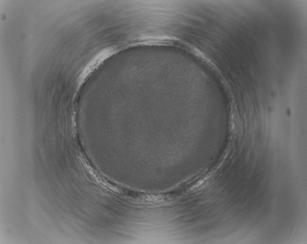 X0000053061362200508011903