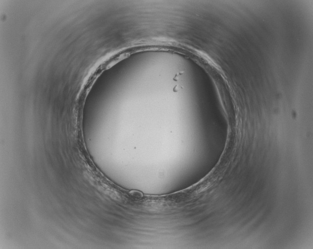 X0000053061364200508011903