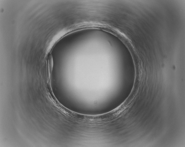 X0000053061365200508011903