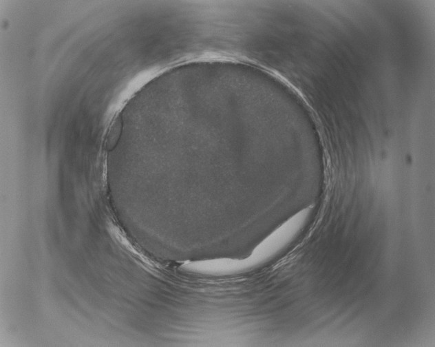 X0000053061367200508011903