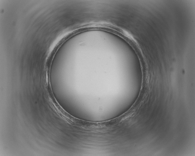 X0000053061368200508011903