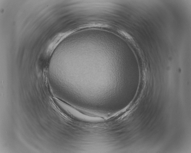 X0000053061369200508011903