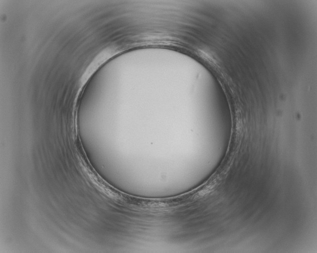 X0000053061370200508011903