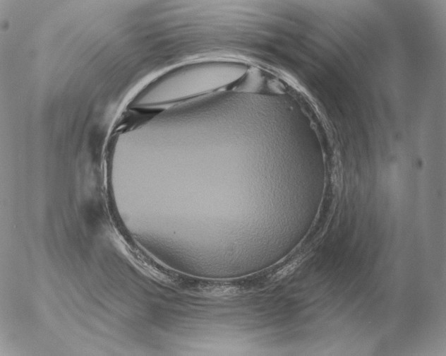 X0000053061372200508011903