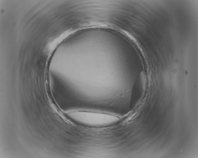 X0000053061373200508011903