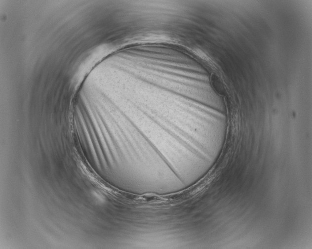 X0000053061374200508011903