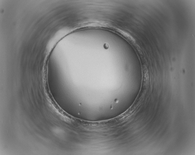 X0000053061375200508011903