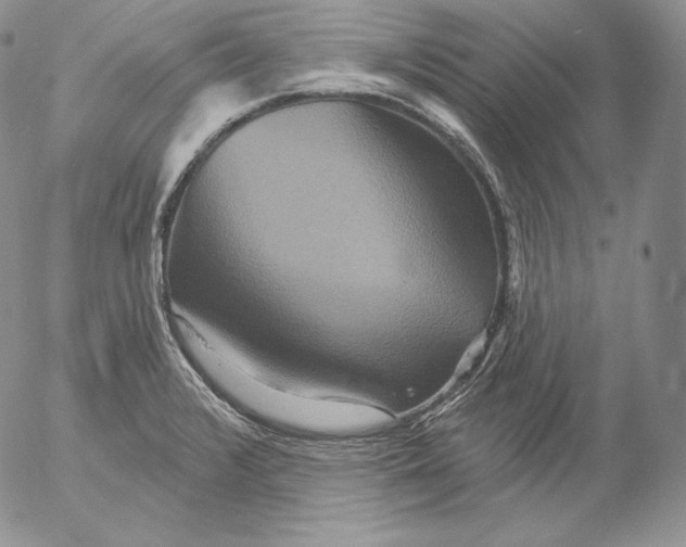 X0000053061376200508011903