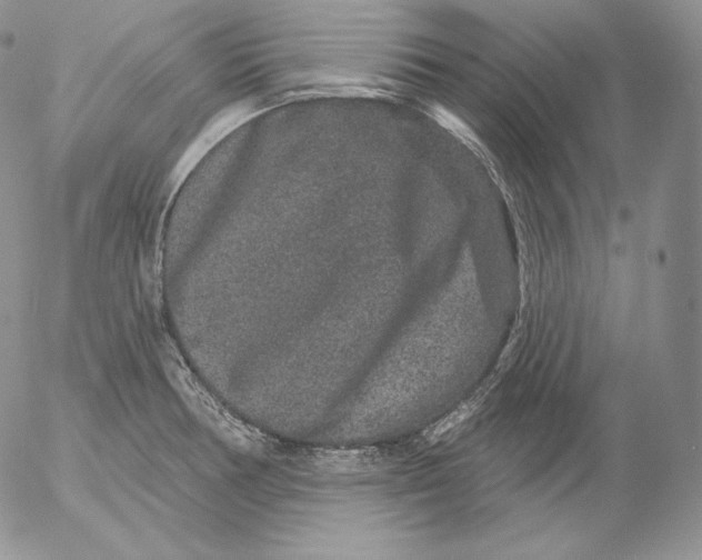 X0000053061378200508011903