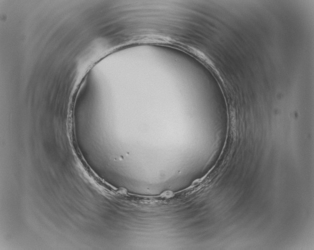 X0000053061379200508011903