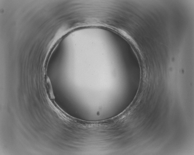 X0000053061380200508011903