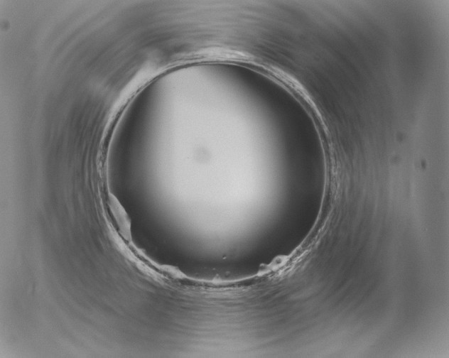 X0000053061381200508011902