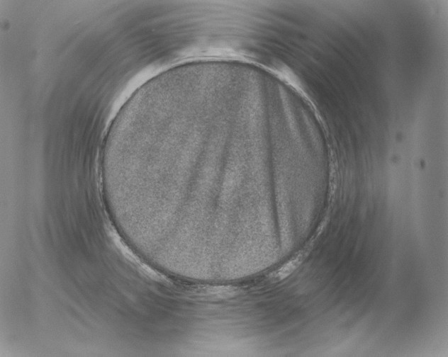 X0000053061382200508011902