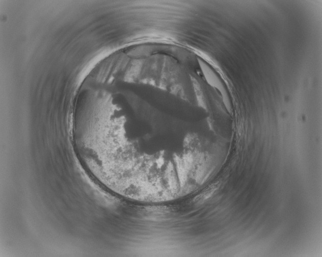 X0000053061383200508011902