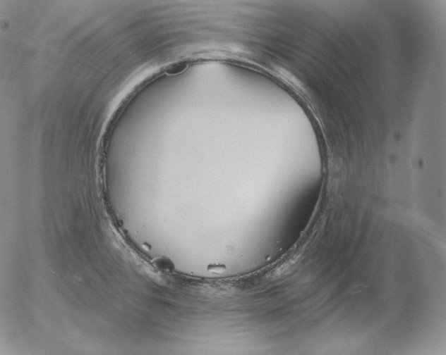 X0000053061384200508011902