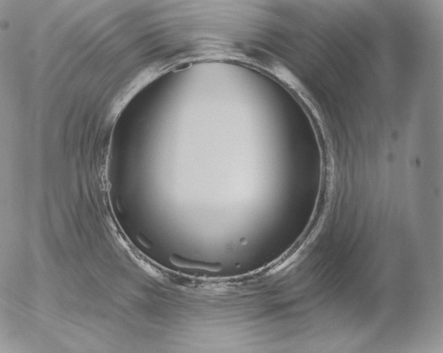 X0000053061385200508011902