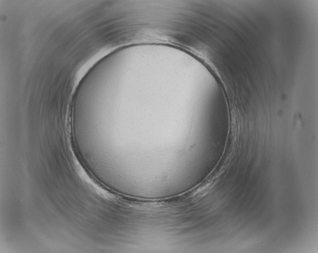 X0000053061387200508011902