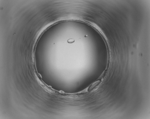 X0000053061388200508011902