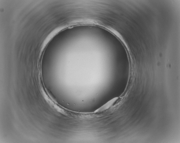 X0000053061389200508011902