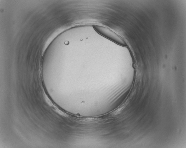 X0000053061390200508011902