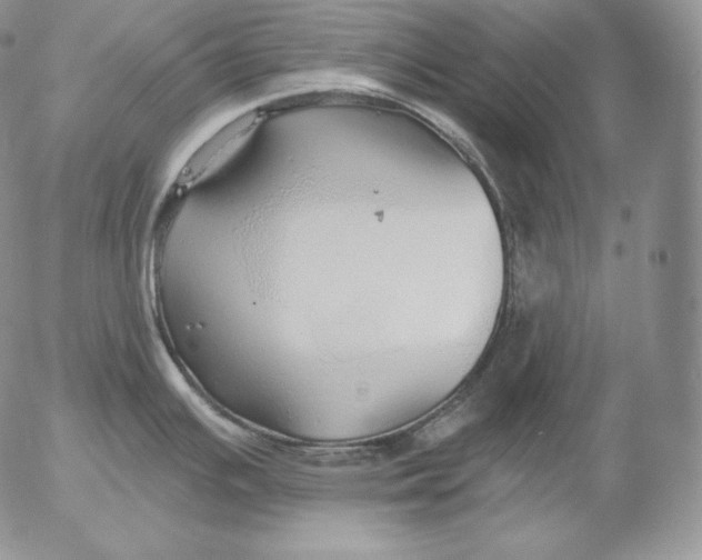 X0000053061391200508011902