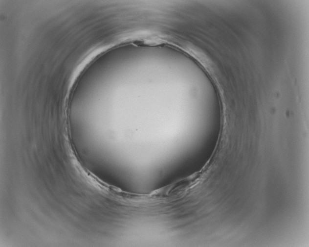 X0000053061392200508011902