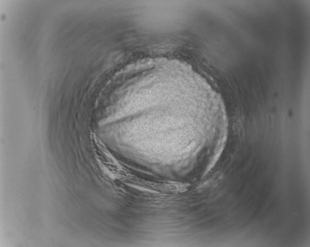 X0000053061393200508011901