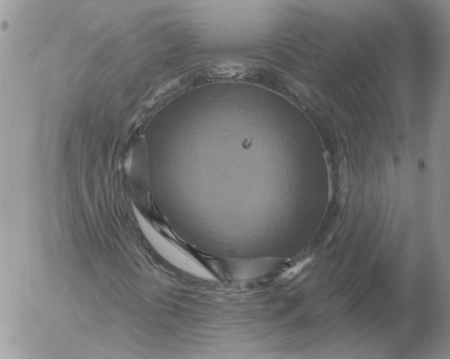 X0000053061394200508011902