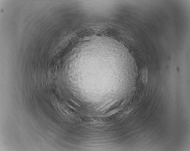 X0000053061395200508011902