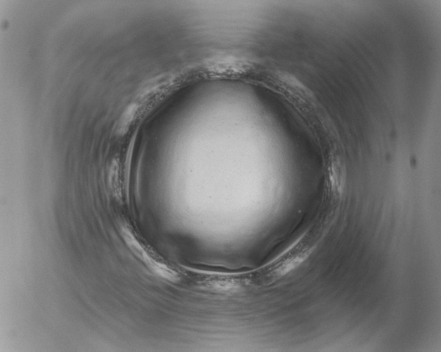 X0000053061396200508011902